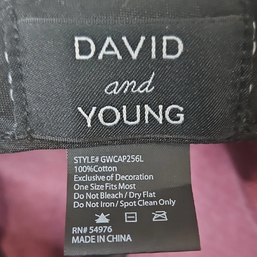 David and Young Purple Dog Clothing Accessory